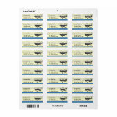 Vans RV-6 Etiket (Full Sheet)