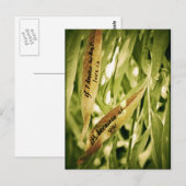 Vanwege jou (liefde) briefkaart (Voorkant / Achterkant)