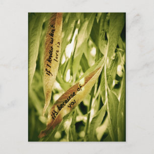 Vanwege jou (liefde) briefkaart