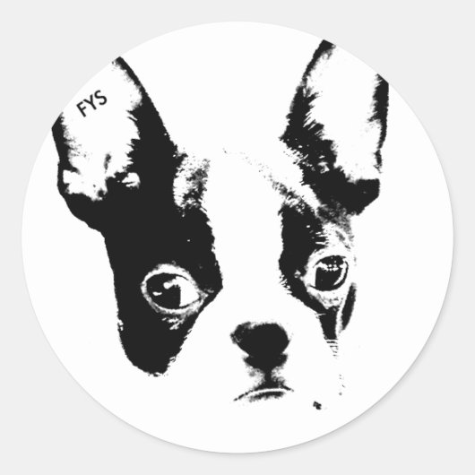 VanYourSky esdoorn sticker (Voorkant)