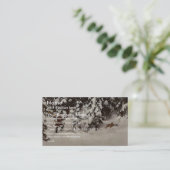 Vapellynx, Russisch klassiek Photochrom Visitekaartje (Staand voorkant)