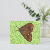Vapourer Moth Briefkaart (Staand voorkant)