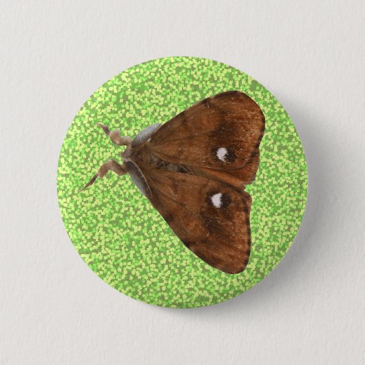 Vapourer Moth Button (Voorkant)