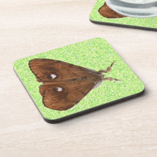 Vapourer Moth Cork Onderzetter (Linkerzijde)