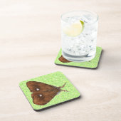 Vapourer Moth Cork Onderzetter (Rechterzijde)