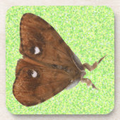 Vapourer Moth Cork Onderzetter (Voorkant)