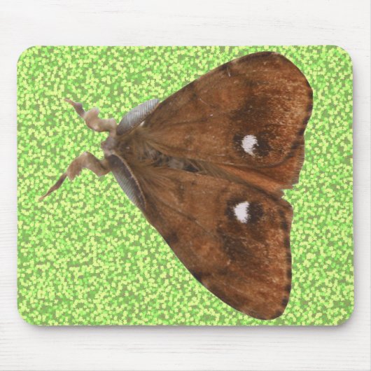 Vapourer Moth Mousepad Muismat (Voorkant)