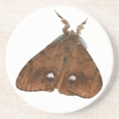 Vapourer Moth Onderzetters (Voorkant)