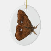 Vapourer Moth Ornament (Rechts)