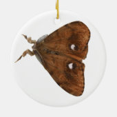 Vapourer Moth Ornament (Achterkant)