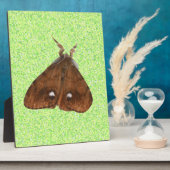 Vapourer Moth Plaque Fotoplaat (Zijkant)