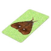 Vapourer Moth Premium Magnet Magneet (Linkerzijde)