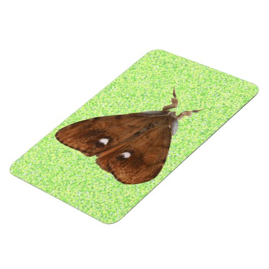 Vapourer Moth Premium Magnet Magneet (Linkerzijde)