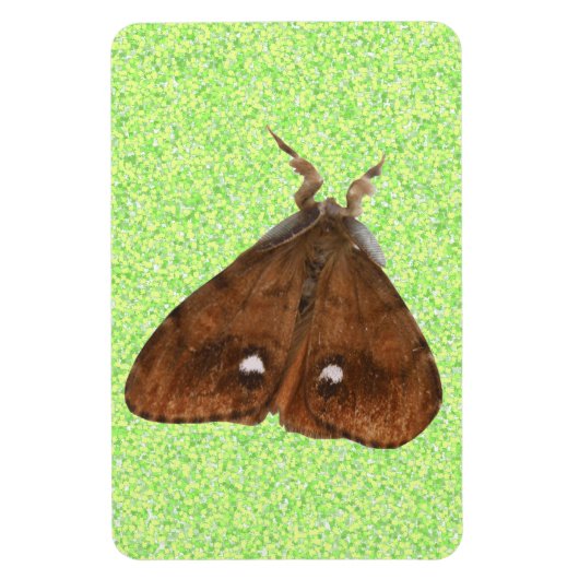 Vapourer Moth Premium Magnet Magneet (Verticaal)