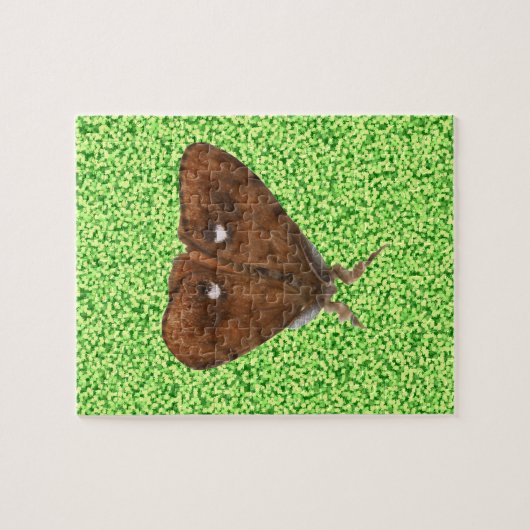 Vapourer Moth Puzzle Legpuzzel (Horizontaal)