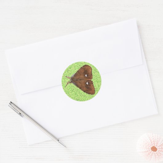 Vapourer Moth Sticker (Envelop)
