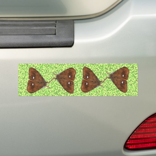 Vapourer Moths Bumpersticker (Op auto)