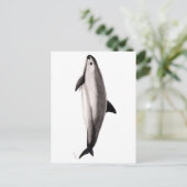 Vaquita Briefkaart (Staand voorkant)