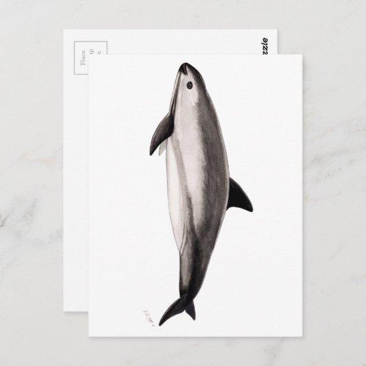 Vaquita Briefkaart (Voorkant / Achterkant)