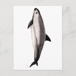 Vaquita Briefkaart