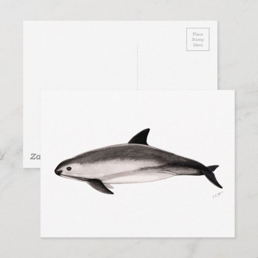 Vaquita Briefkaart (Voorkant / Achterkant)