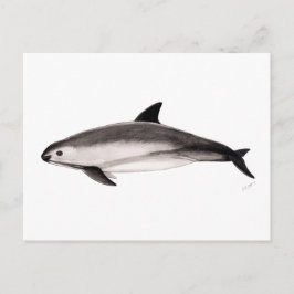 Vaquita Briefkaart