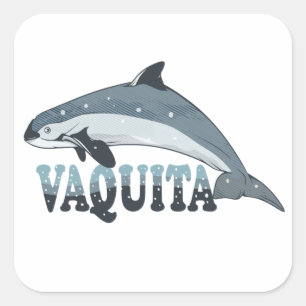 Vaquita Bruinvis Bedreigde Soorten Vierkante Sticker