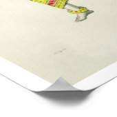 Varaha, gegraveerd door de Marlet (kleur litho) Poster (Hoek)