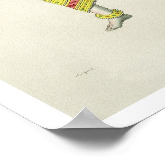 Varaha, gegraveerd door de Marlet (kleur litho) Poster (Hoek)