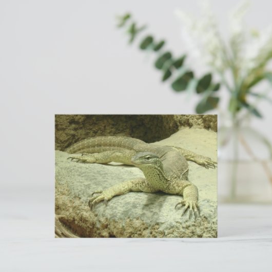 Varanus gouldii briefkaart (Staand voorkant)