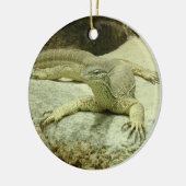 Varanus gouldii keramisch ornament (Links)