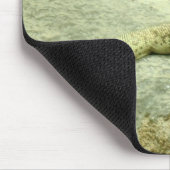 Varanus gouldii muismat (Hoek)