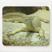 Varanus gouldii muismat (Voorkant)