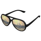 varen-51 aviator zonnebril (Gekanteld)