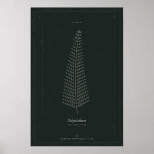 Varen botanische lijntekening poster, donkere acad poster
