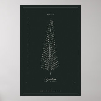Varen botanische lijntekening poster, donkere acad poster