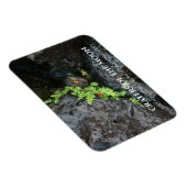 Varen die groeit in lava, Kraters van de Maan, Ida Magneet (Rechterzijde)