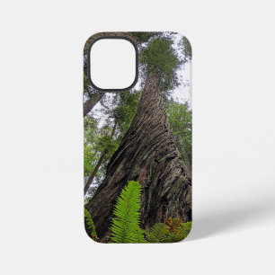 Varen die langs de kronkelige bast van de Redwood iPhone 12 Mini Hoesje