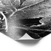 Varen en bladeren zwart en wit foto afdruk (Hoek)