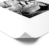 Varen en Bladerrijk Loofwerk Zwart en Wit Poster (Hoek)