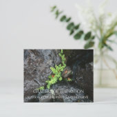 Varen groeien in Lava Rock, kraters van de maan Briefkaart (Staand voorkant)