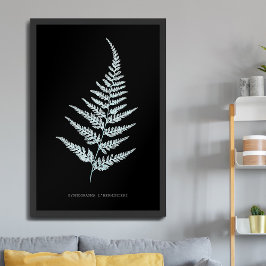 Varen - Gymnogramma L'herminieri. Röntgen-effect – Poster