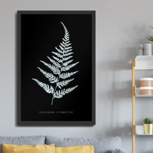Varen - Gymnogramma L'herminieri. Röntgen-effect – Poster