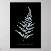 Varen - Gymnogramma L'herminieri. Röntgen-effect – Poster (Voorkant)