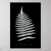 Varen - Gymnogramma Villosa - Röntgen effect - 06 Poster (Voorkant)