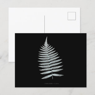Varen - Gymnogramma Villosa - Röntgenfoto effect - Briefkaart