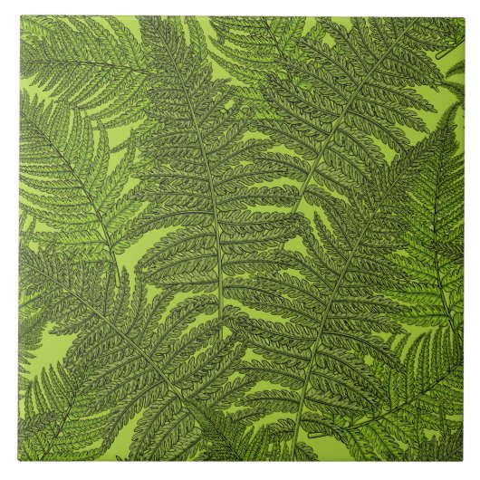 Varen in het groen tegeltje (Voorkant)