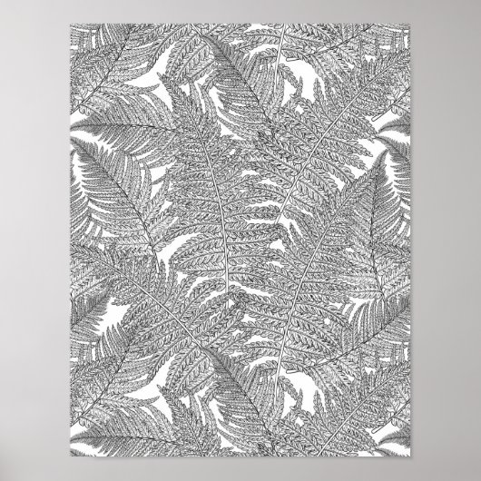 Varen in zwart-wit poster (Voorkant)