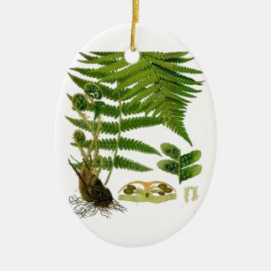 Varen Keramisch Ornament