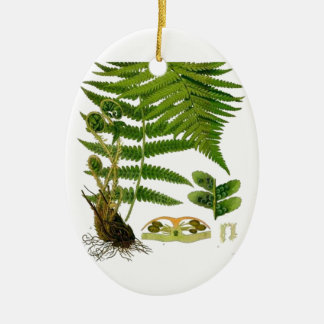 Varen Keramisch Ornament